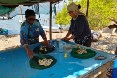 Dos mujeres limpian ostras