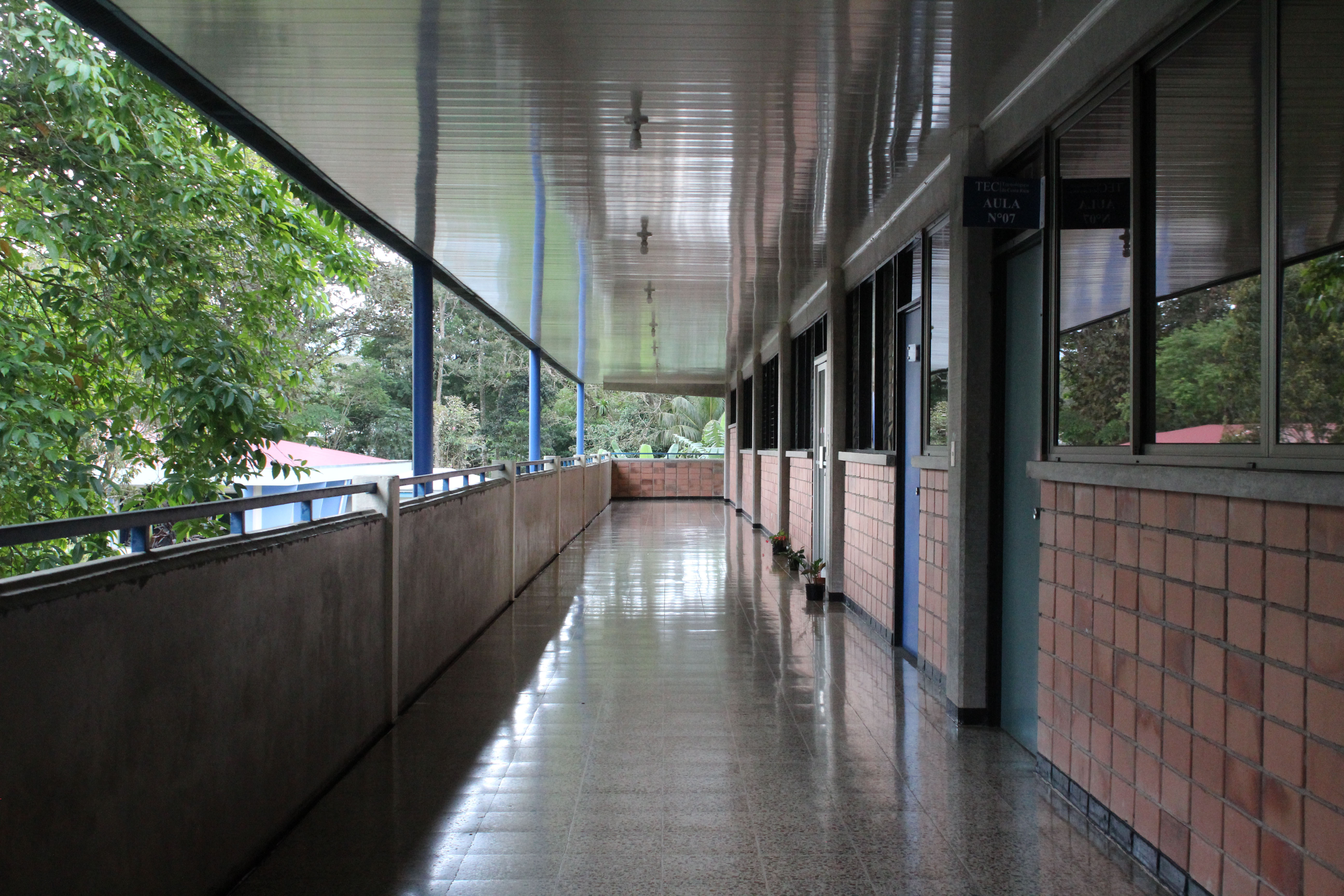 Escuela de Ciencias Naturales y Exactas