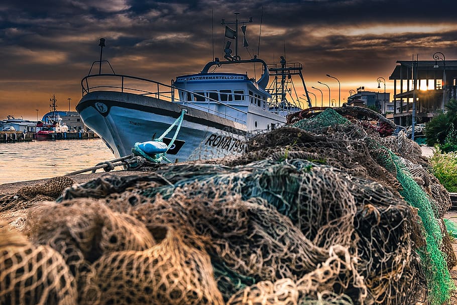 La Pesca de Arrastre ¿y la Protección Medio Ambiental de nuestros mares?