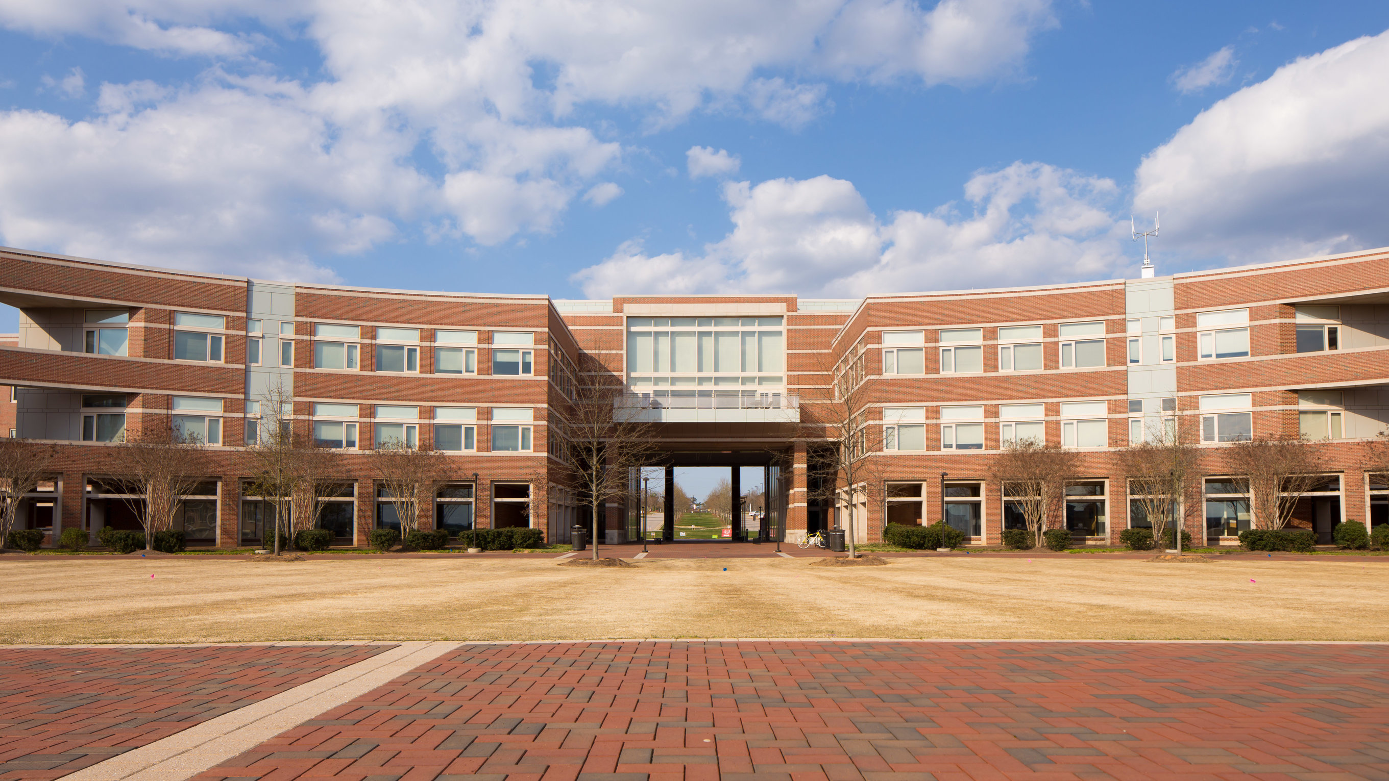 Top Engineering Universities