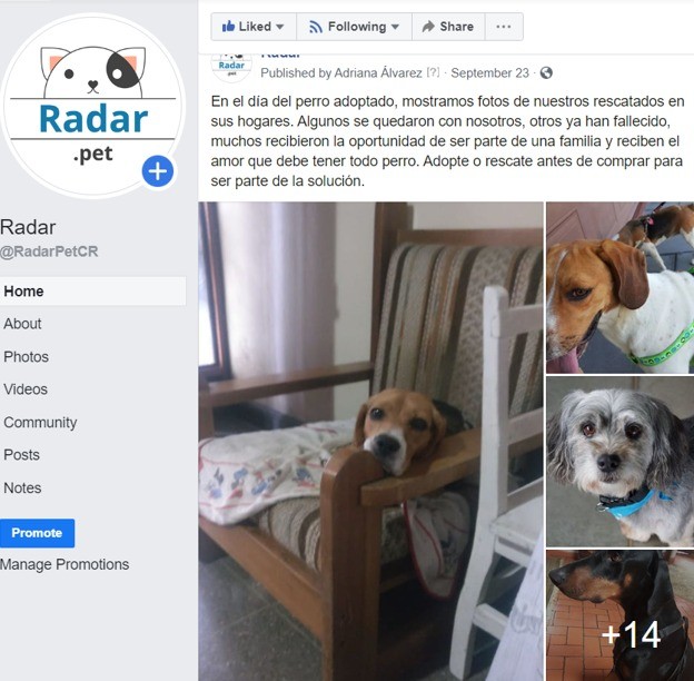 Captura de imagen del perfil de Radar Pet