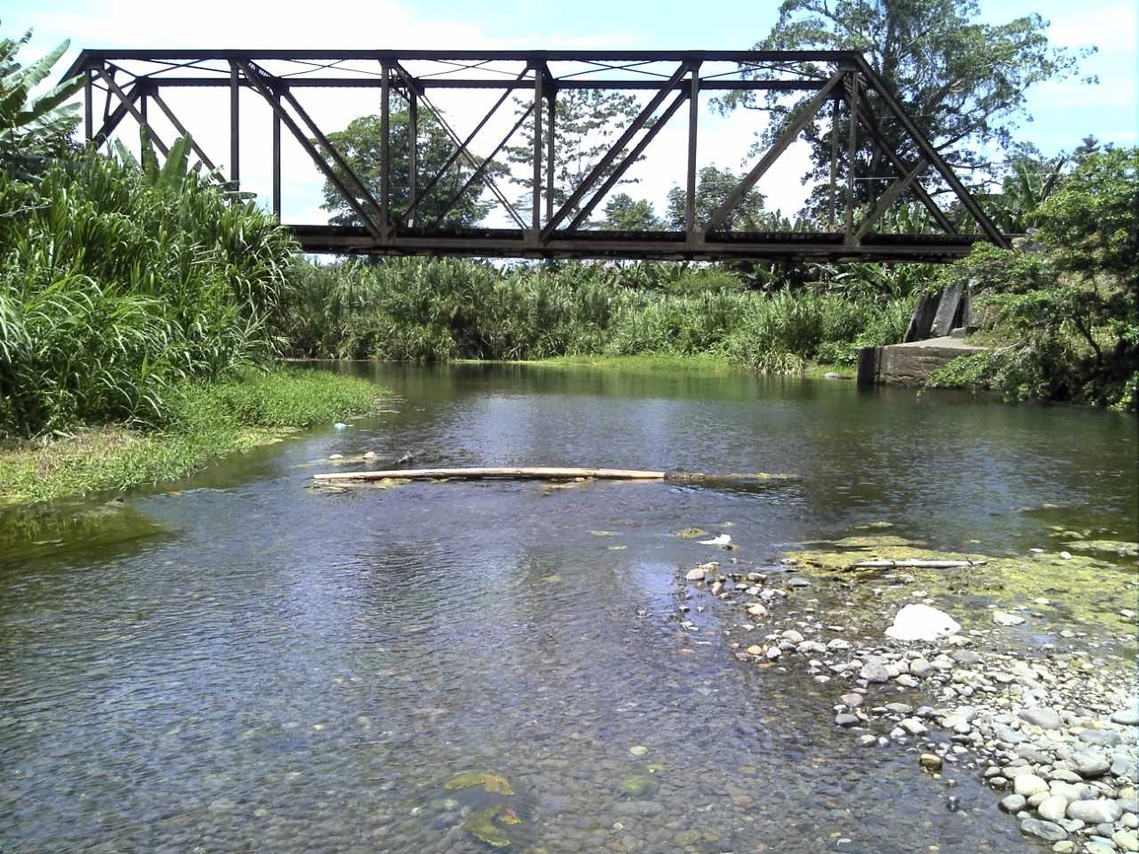 TEC finalizó estudio del Río La Estrella para determinar su reacción