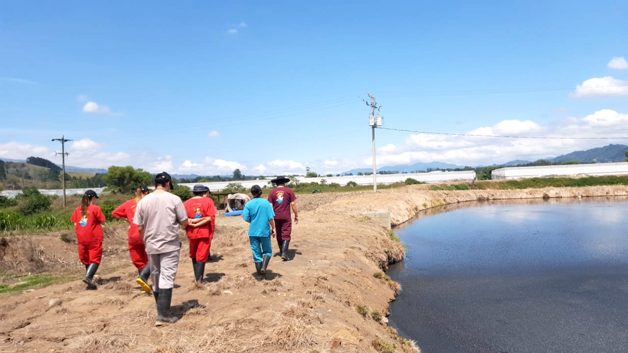 Se ve varias personas caminando junto a una laguna