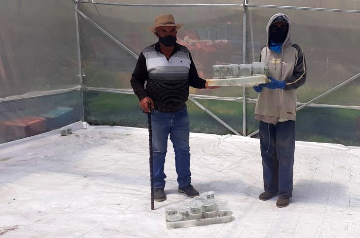Campesinos con las vitroplantas.