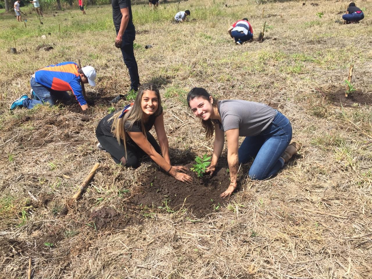 Dos jóvenes plantan un árbol.