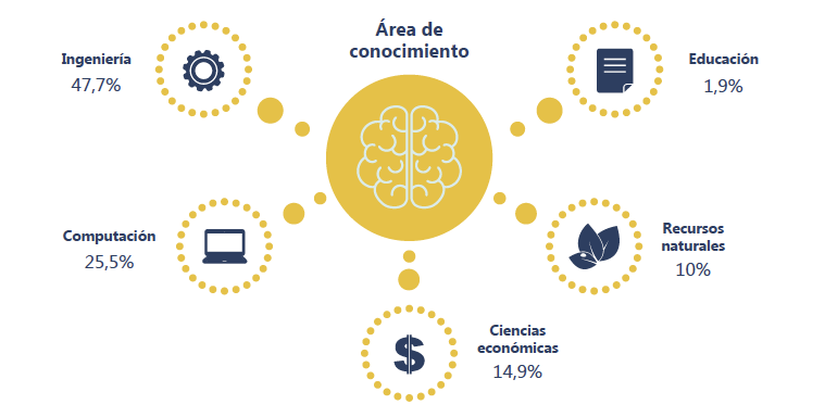 infografia 3