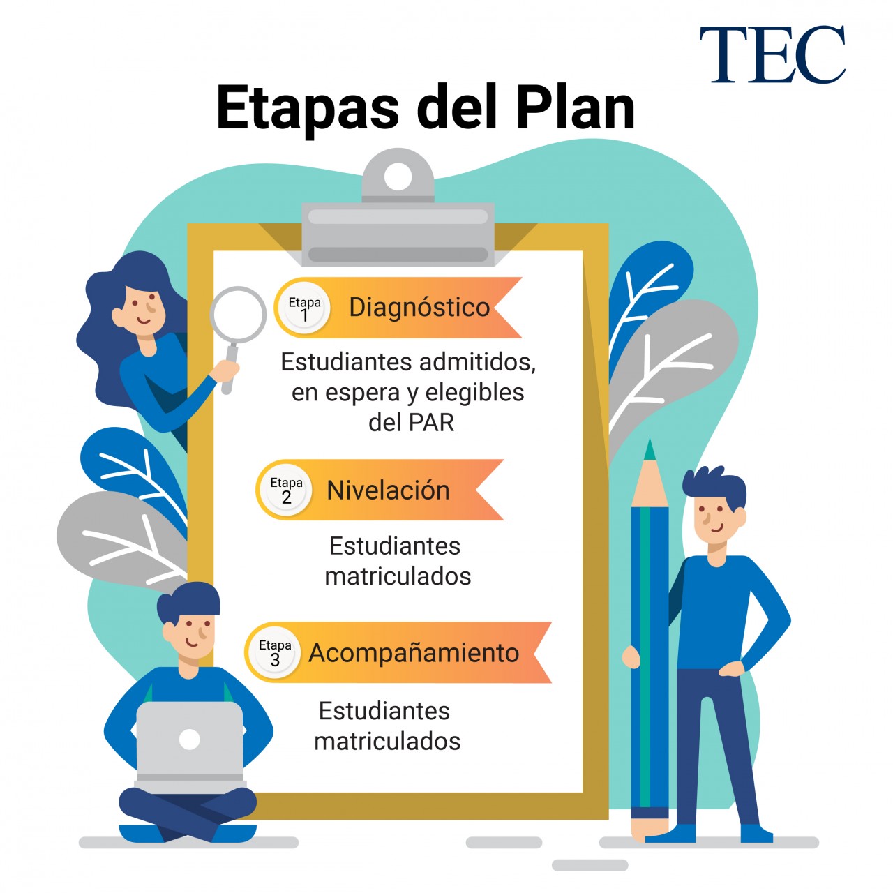 etapas del plan