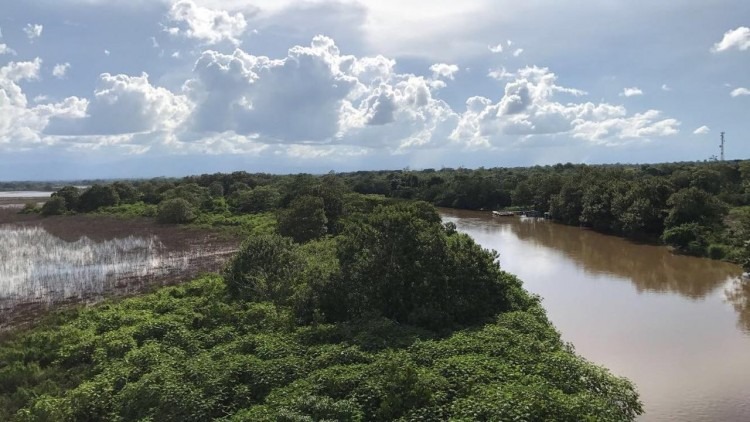 vista aérea de Caño Negro