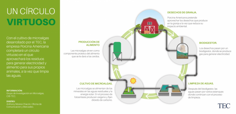 Infografia: un circulo virtuoso.