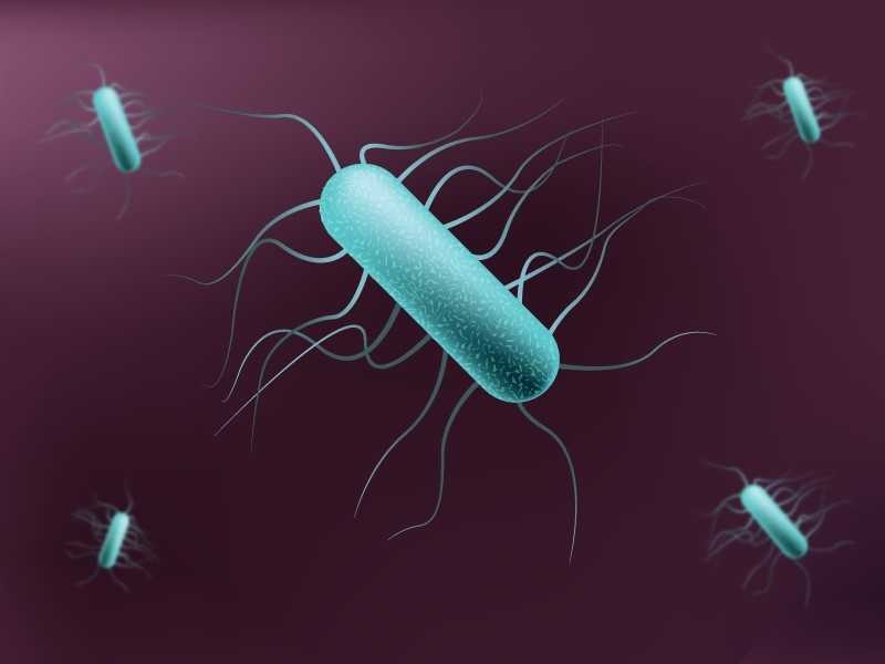 Cientificos Del Tec Descubren Nueva Bacteria Hoy En El Tec