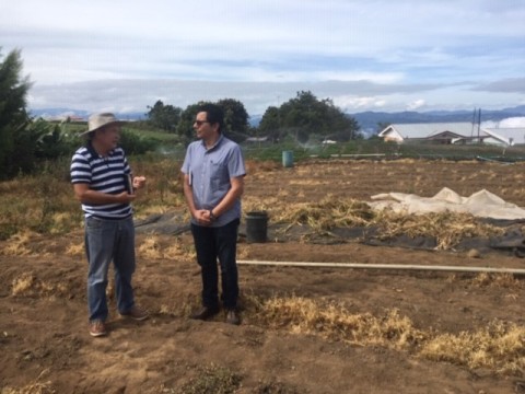Agricultor-profesorTEC-campo-cultivo