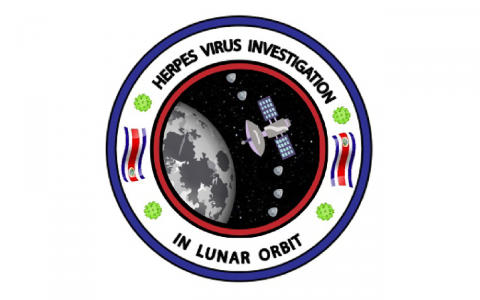 Escudo de la propuesta de misión, con un satélite orbitando la luna y el texto: Herpes Virus Investigation in lunar orbit.