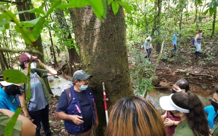 Trabajo de campo en el bosque de San Mateo, Alajuela.