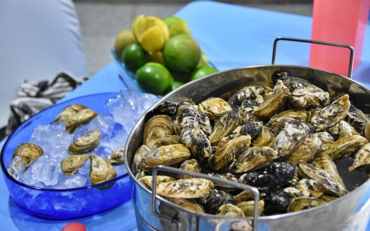 Conservación de ecosistemas marinos (Ecomar)