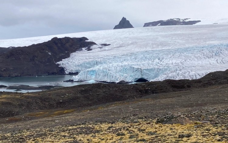 Glaciar Ecology.