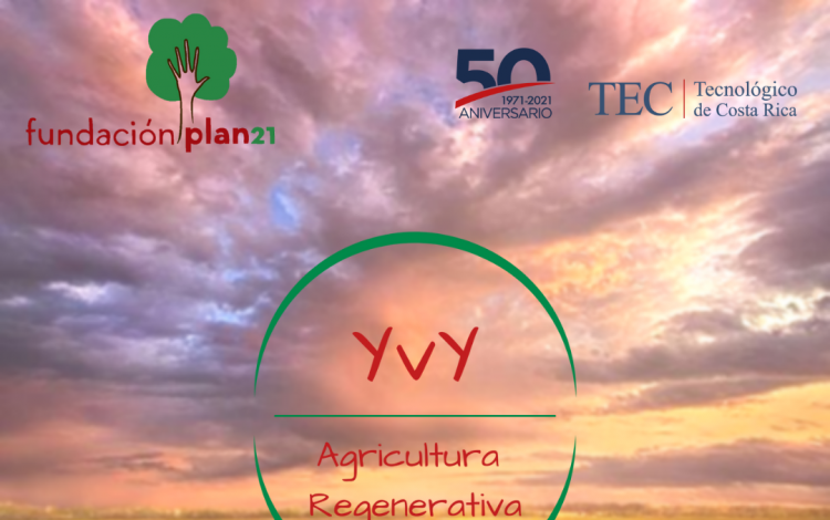 Imagen del proyecto YvY y dice "Agricultura Regenerativa"