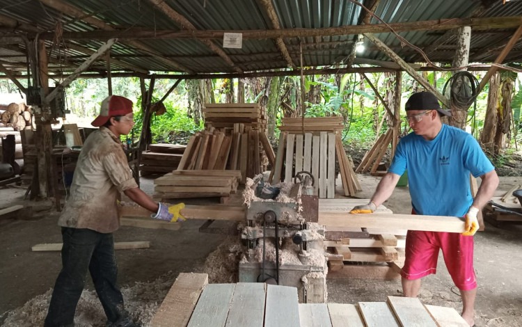 Imagen de dos personas haciendo tarimas de madera balsa