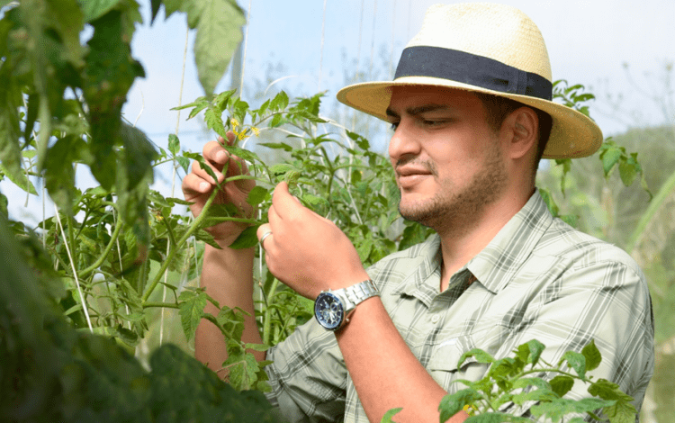 En la fotografía se muestra al profesor Ricardo Salazar, en el campo de practicas de agronegocios del TEC