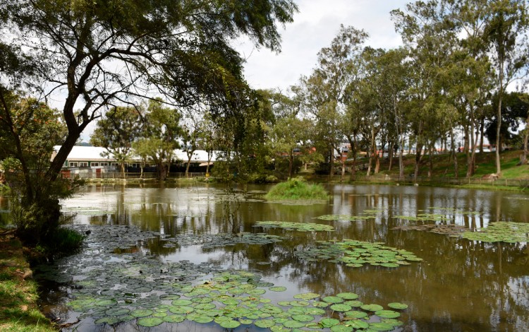 Vista del lago de la Sede Central del TEC en Cartago (Foto: Ruth Garita/OCM)