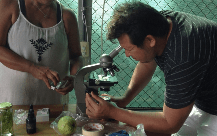 Productores analizan una muestra en un microscopio. 