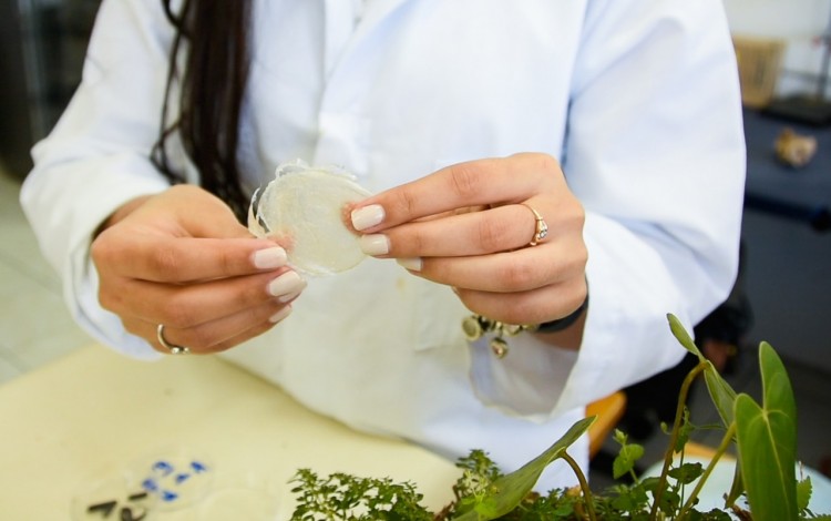 Estudiante de biología. 