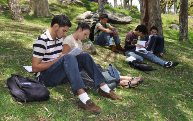 Cinco estudiantes del TEC se encuentran (sentados) estudiando, en la zona verde de esta Institución  Son cuatro  hombres y una mujer.