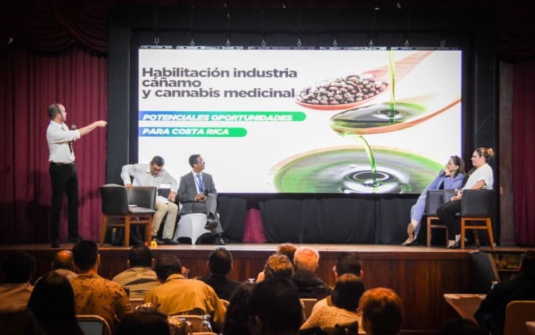 El expositor presenta en el escenario, en el fondo se lee "habilitación del cáñamo y ccannabis medicinal".