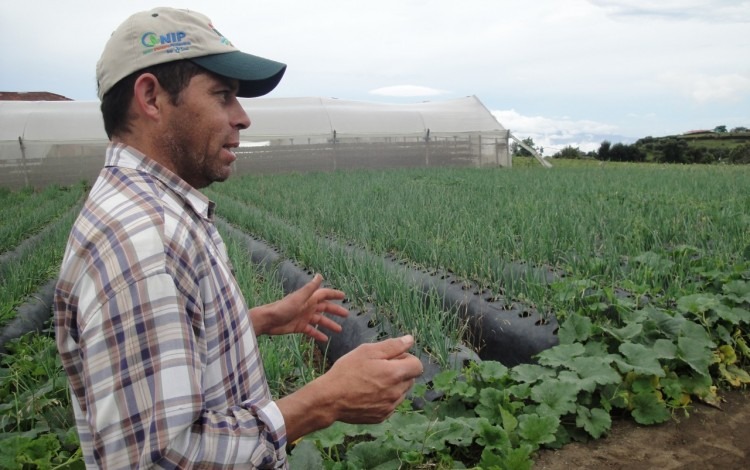 agricultor con su cosecha