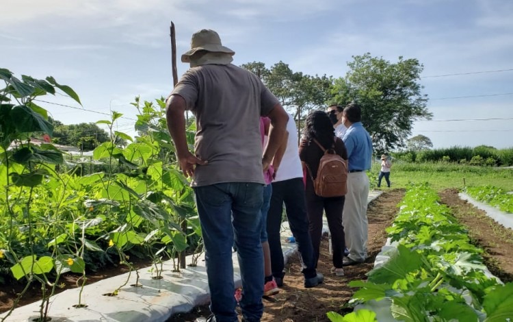 Agricultores en el campo.