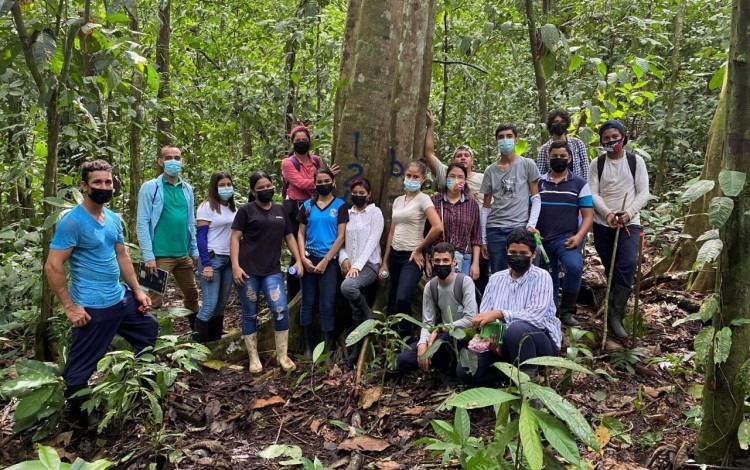 imagen de varios estudiantes realizando trabajos de campo de medición de árboles.