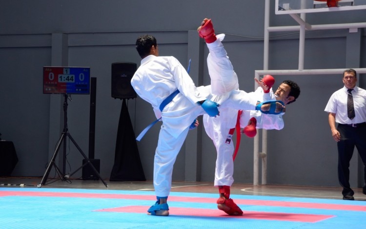 peleadores de karate