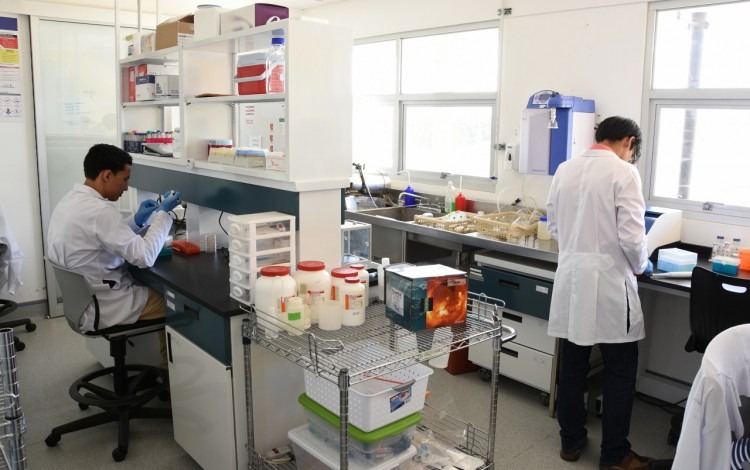 Estudiantes utilizando equipo en laboratorio de biotecnología.