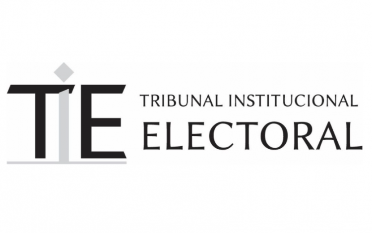 Logo del TIE.