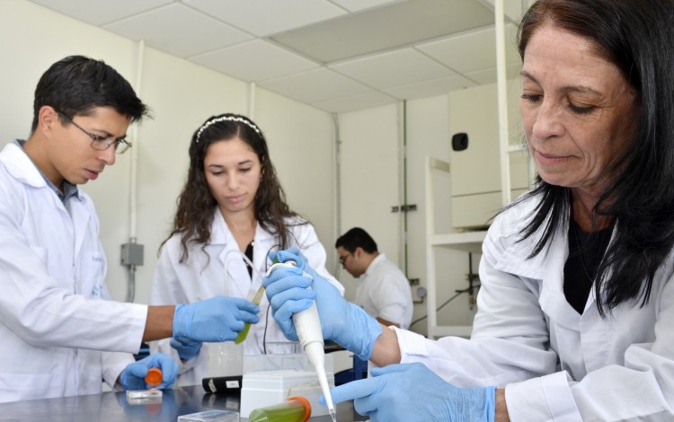 Tres investigadores realizan pruebas en microalgas. 
