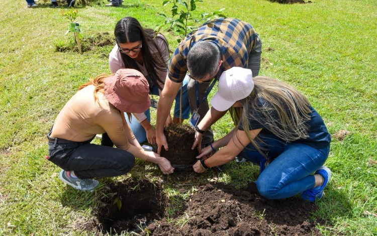 Imagen de varias personas plantando árboles en el TEC