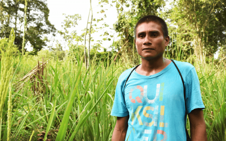 Ballarino Oniel, indígena bribri de Shuabb de Talamanca, muestra su sembradío de arroz orgánico. Ese campo fue cosechado en la tercera semana de setiembre. (Foto: Ruth Garita/OCM).