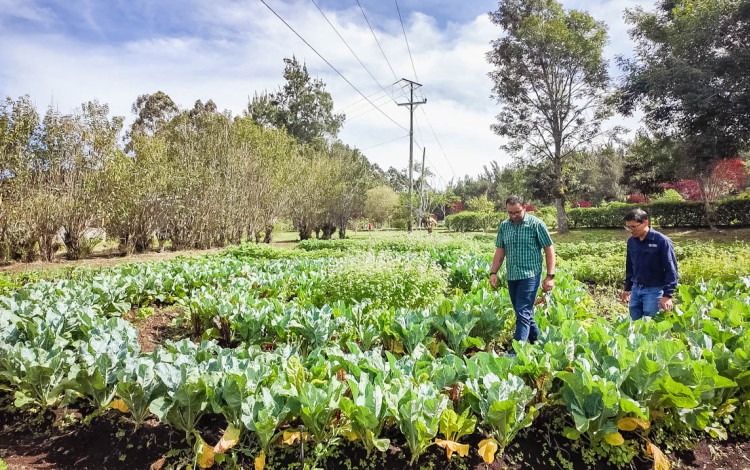 Imagen de dos personas en un cultivo.