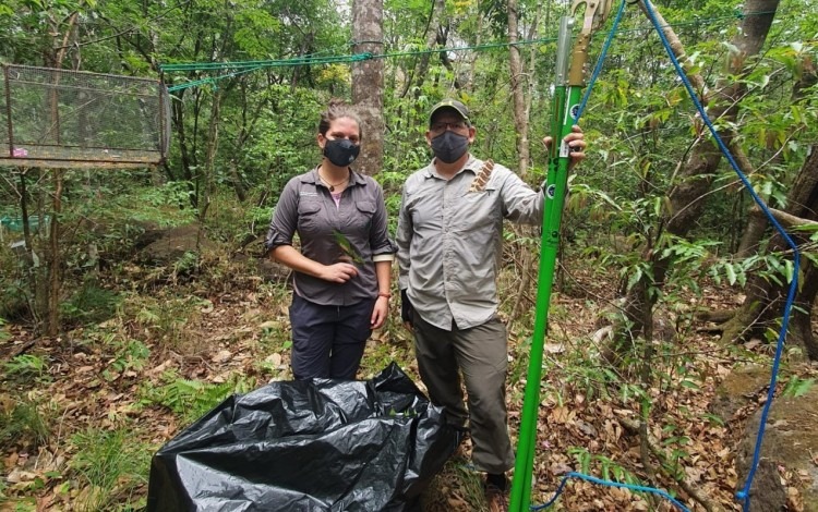 Dos personas en el bosque, recolectando muestras para hacer una investigación.