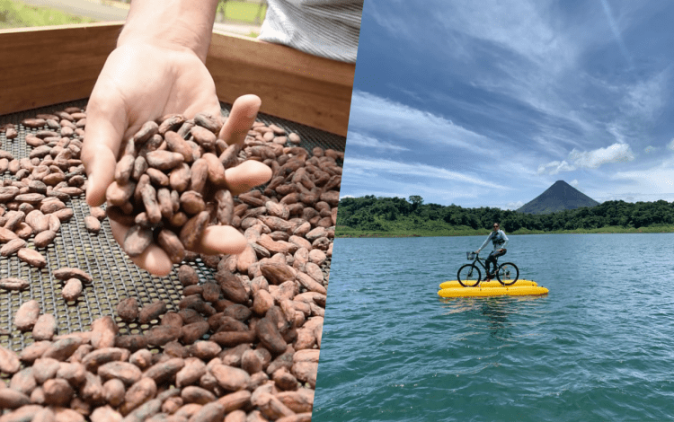 Dos imágenes, a la izquierda una mano mueve cacao seco y a la derecha una persona realiza turismo en la Laguna del Arenal.
