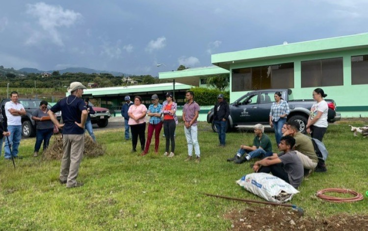 Imagen de varias personas en los cultivos de papa del productor