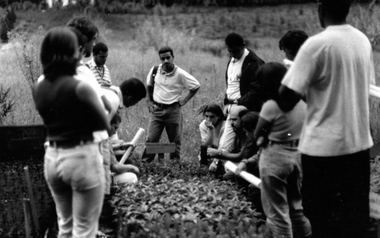 Personas presenciando una charla alrededor de una plantación forestal. 