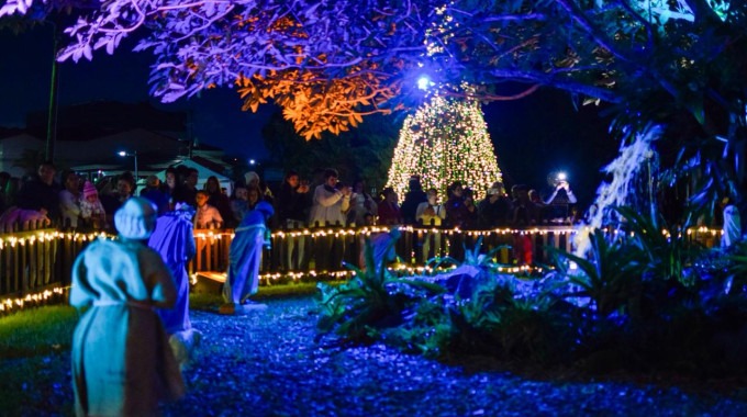 árbol y pesebre iluminado