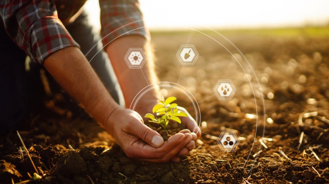 ilustración en el campo