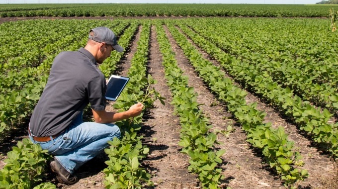 hombre con tablet en campo agrícola