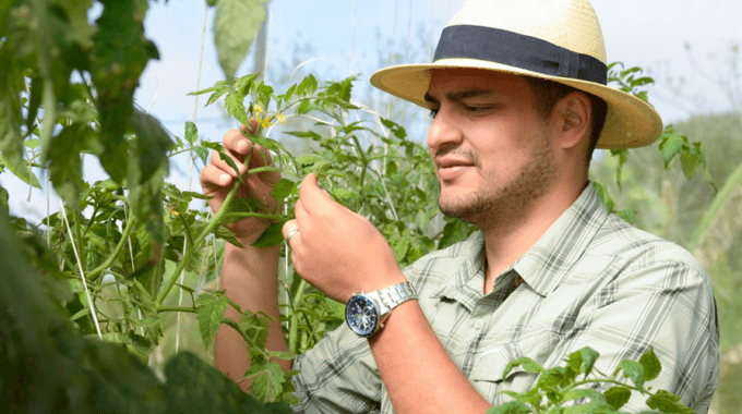 En la fotografía se muestra al profesor Ricardo Salazar, en el campo de practicas de agronegocios del TEC