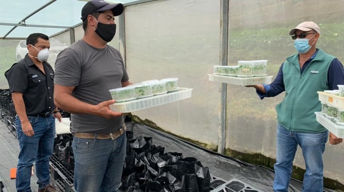 Un hombre recibe plantas en contenedores transparentes.