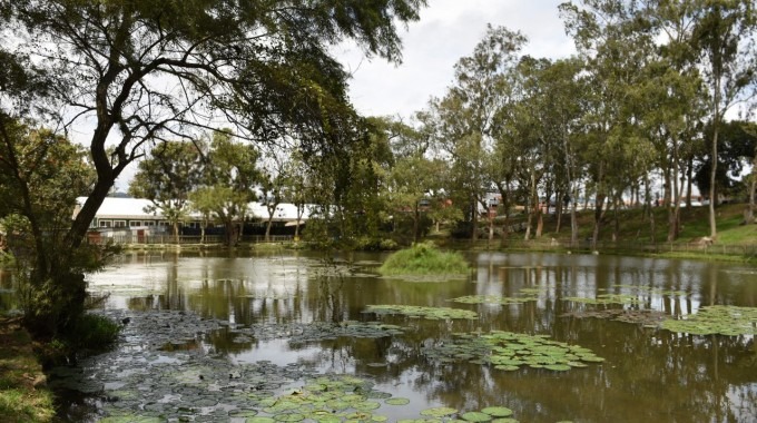 lago del campus central del tec en cartago