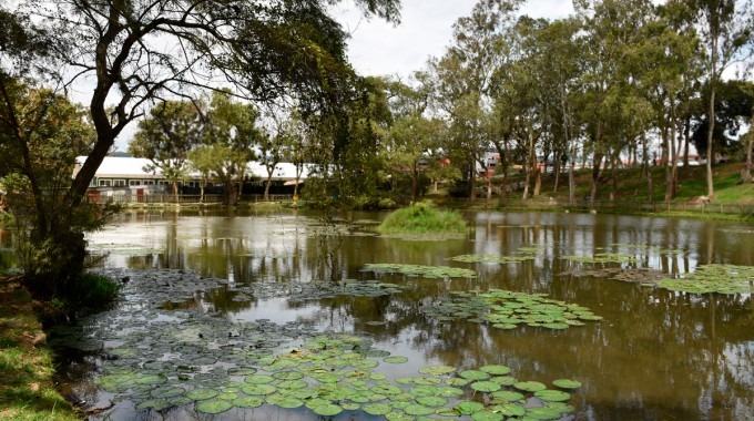 Vista del lago de la Sede Central del TEC en Cartago (Foto: Ruth Garita/OCM)