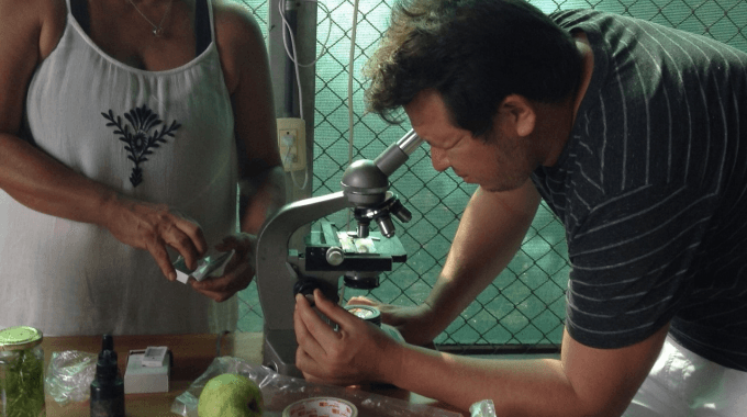 Productores analizan una muestra en un microscopio. 