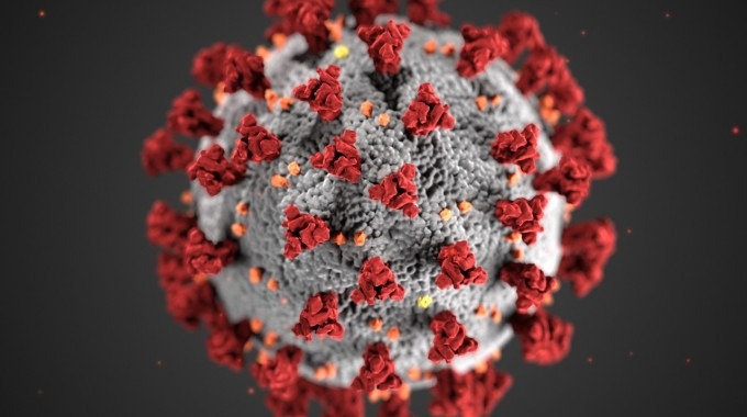 Modelación de una partícula de Coronavirus.